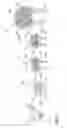 Fig. 02 - Method of producing a flowering horticultural display