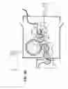 Fig. 34 - Active sterilization zone for container filling
