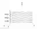 Fig. 08 - Desiccant air conditioning methods and systems using evaporative chiller