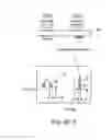 Fig. 10 - SECURITY APPARATUS INCLUDING ATTACHMENT DEVICE