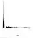 Fig. 18 - BIOCHAR COMPLEX