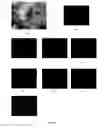 Fig. 20 - BIOCHAR COMPLEX