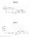 Fig. 05 - Orifice plate and manufacturing method of the orifice plate