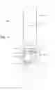 Fig. 10 - Downhole instrument calibration during formation survey