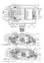 Fig. 28 - Bicycle pedal