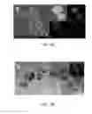 Fig. 03 - Composite anode materials for lithium ion batteries