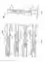 Fig. 09 - High-efficiency linear combustion engine