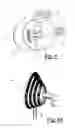 Fig. 06 - Respiratory system