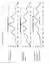 Fig. 15 - Device for calculating respiratory waveform information and medical instrument using respiratory waveform information