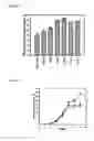 Fig. 08 - Transgenic plants comprising constructs encoding phosphoenolpyruvate carboxykinase and/or pyruvate orthophosphate dikinase