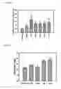 Fig. 10 - Transgenic plants comprising constructs encoding phosphoenolpyruvate carboxykinase and/or pyruvate orthophosphate dikinase