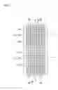 Fig. 02 - Solar cell module
