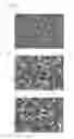 Fig. 06 - TRANSPARENT CONDUCTIVE SUBSTRATE FOR SOLAR CELL, AND SOLAR CELL