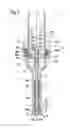 Fig. 02 - Valve system