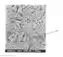 Fig. 01 - High strength steel wire for spring