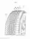 Fig. 02 - Tire having air chamber and constriction groove in rib shaped land portion