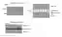 Fig. 01 - Methods of treating copper surfaces for enhancing adhesion to organic substrates for use in printed circuit boards