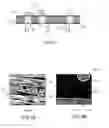 Fig. 03 - Heat-Dissipating Device for Space-Based Equipment, Notably for a Satellite