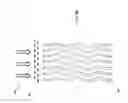 Fig. 08 - HEAT EXCHANGER AND ASSOCIATED METHODS