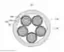 Fig. 01 - Cable