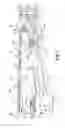 Fig. 07 - VERTICAL ACTION SORTER AND METHOD OF SORTING ARTICLES