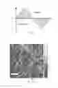 Fig. 09 - Real space mapping of ionic diffusion and electrochemical activity in energy storage and conversion materials