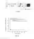 Fig. 04 - Nanocomposite solid material based on hexa- and octa-cyanometallates, method for the preparation thereof and method for fixing mineral pollutants using said material