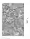 Fig. 05 - Methods for reducing scale formation on and removing deposits from heat transfer surfaces