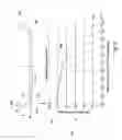 Fig. 09 - Oven having diffuse light pipe assembly