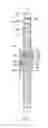 Fig. 05 - SURFACE MOUNTING APPARATUS AND WINDER THEREOF