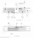 Fig. 04 - Non pressure compensated drip irrigation emitter with multiflow facility