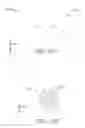 Fig. 15 - Method of making a nozzle