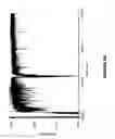 Fig. 09 - Molecular ion accelerator