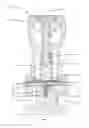 Fig. 02 - Self-aligning axially constrained regulator valve assembly