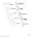Fig. 02 - Oligonucleotide derivative, labeling agent and use for labeling agent