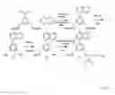 Fig. 04 - Oligonucleotide derivative, labeling agent and use for labeling agent