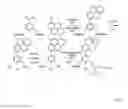 Fig. 06 - Oligonucleotide derivative, labeling agent and use for labeling agent
