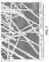 Fig. 02 - NANOWIRE PREPARATION METHODS, COMPOSITIONS, AND ARTICLES