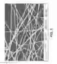 Fig. 06 - NANOWIRE PREPARATION METHODS, COMPOSITIONS, AND ARTICLES