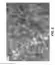Fig. 07 - NANOWIRE PREPARATION METHODS, COMPOSITIONS, AND ARTICLES