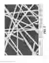 Fig. 08 - NANOWIRE PREPARATION METHODS, COMPOSITIONS, AND ARTICLES