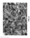 Fig. 09 - NANOWIRE PREPARATION METHODS, COMPOSITIONS, AND ARTICLES
