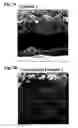 Fig. 03 - Conductive fine particle and metal paste for electrode formation, and electrode