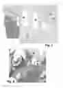 Fig. 06 - Automatically locking lifting system for display cases