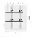 Fig. 06 - APPARATUS AND METHOD FOR REDUCING PHOTO LEAKAGE CURRENT FOR TFT LCD