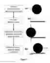 Fig. 06 - CASTING MICROSTRUCTURES INTO STIFF AND DURABLE MATERIALS FROM A FLEXIBLE AND REUSABLE MOLD