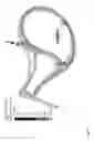 Fig. 20 - Bicycle frame