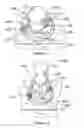 Fig. 02 - Gooseneck hitch assembly
