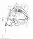 Fig. 06 - Glove box structure for vehicle