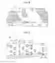 Fig. 09 - Glove box structure for vehicle